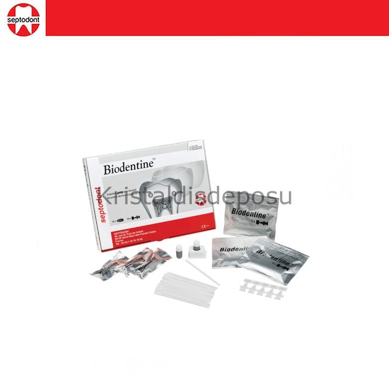 Biodentine Bioaktif Dentin Tamir Malzemesi 5'li