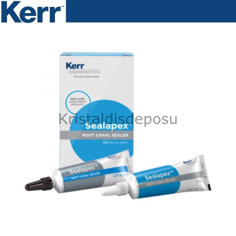 Sealapex Kanal Dolgu Patı