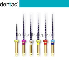 Proendo 6’lı Blister