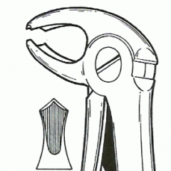 Davye (Extraction Forceps) - Tek
