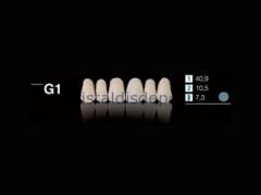 Imicryl Imident Lux 28'lik Takım Diş