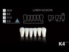 Imicryl Imident Lux 28'lik Takım Diş