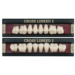 Cross Linked 2 Takım Diş Akrilik 28'Lik