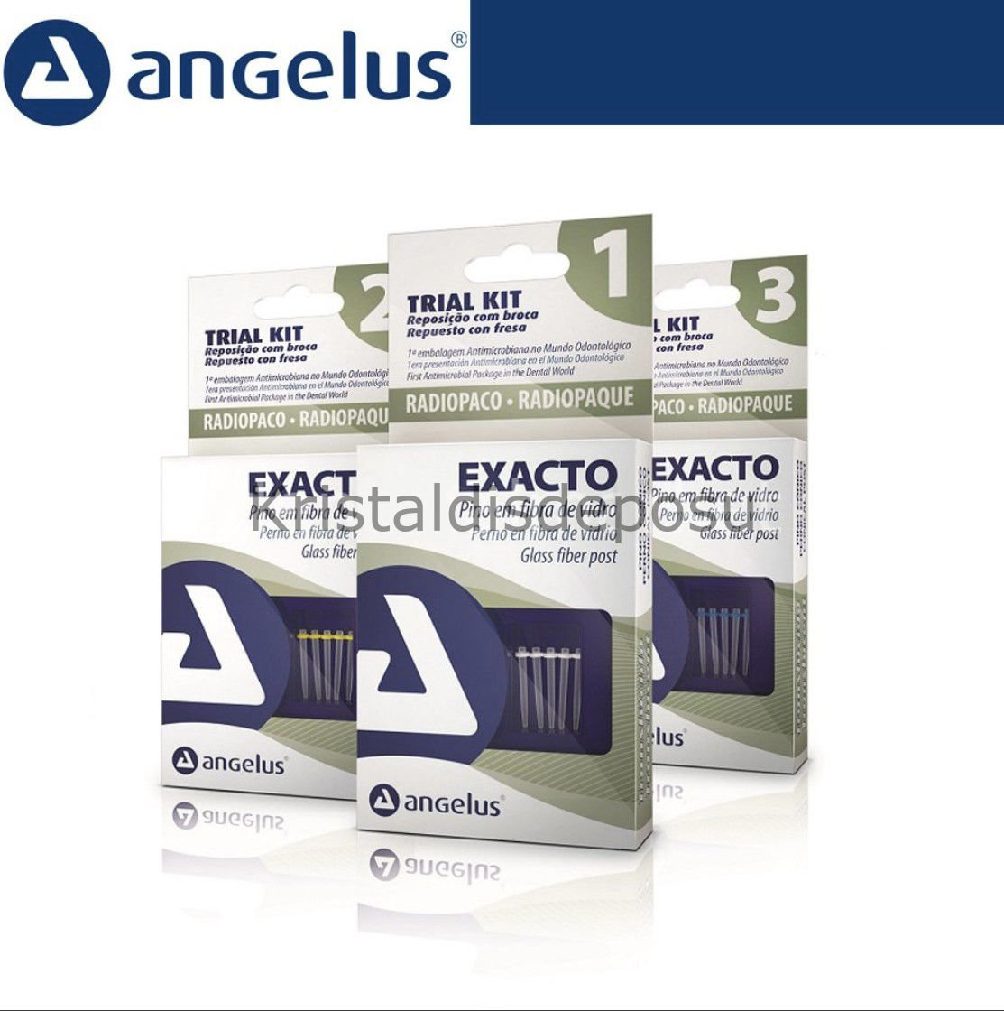 Exacto Translucido Fiber Post Trial Kit