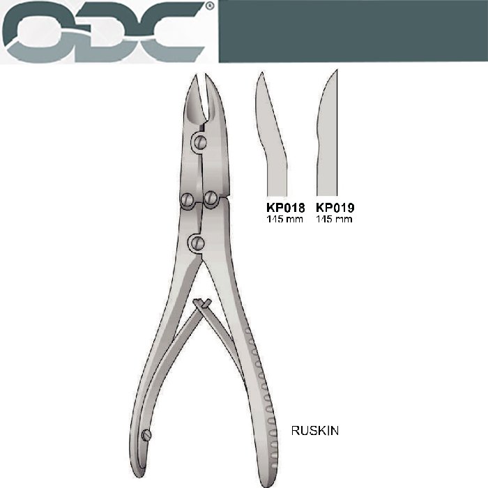 Kemik Pens Ruskın
