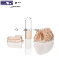 3D Yazıcı Reçine Nexdent Model Ortho