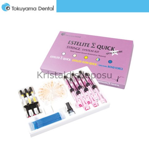 Estelite Sıgma Quıck Syringe System Kit