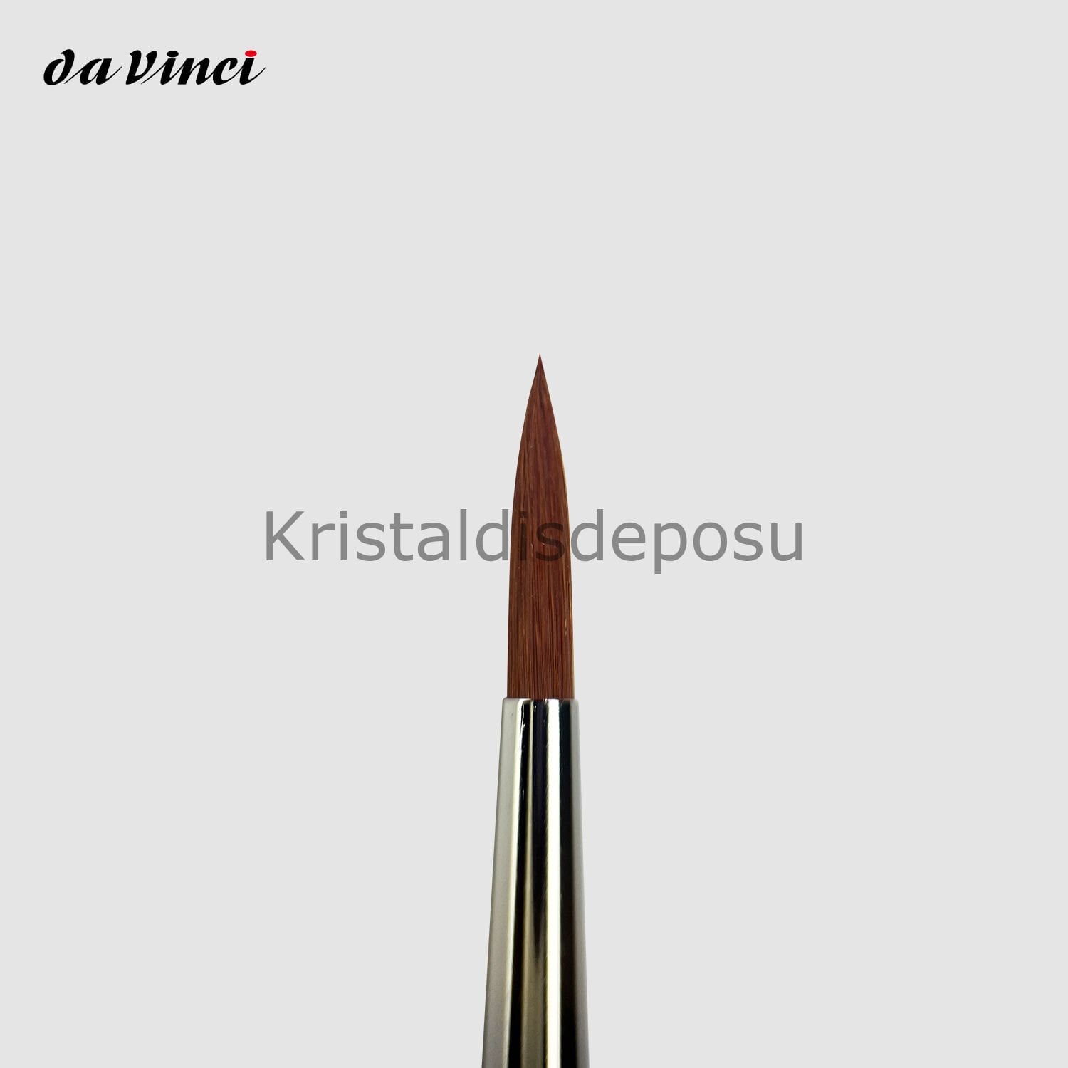 Cosmotop-Spin Estetik Kompozit Fırçası - #6