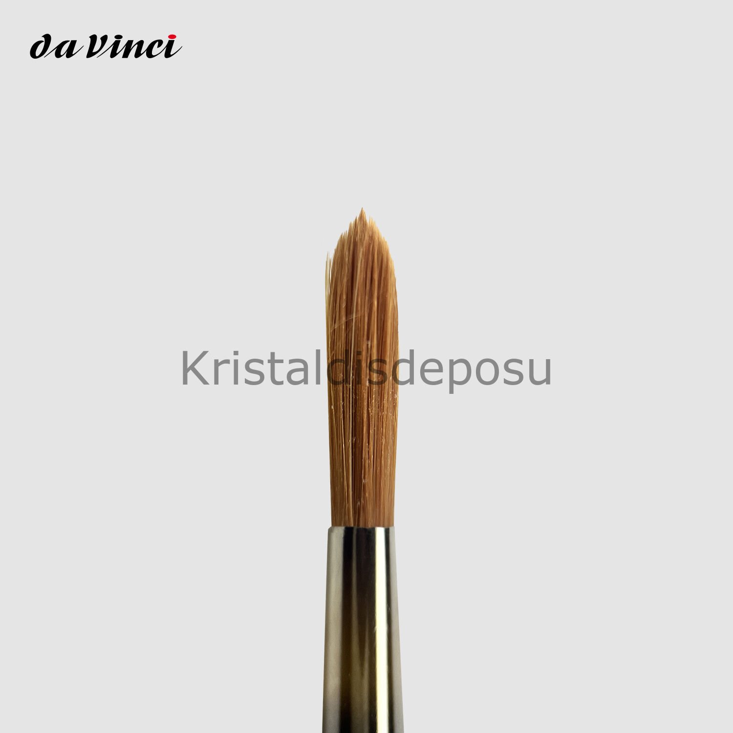 Cosmotop-Spin Estetik Kompozit Fırçası - #8