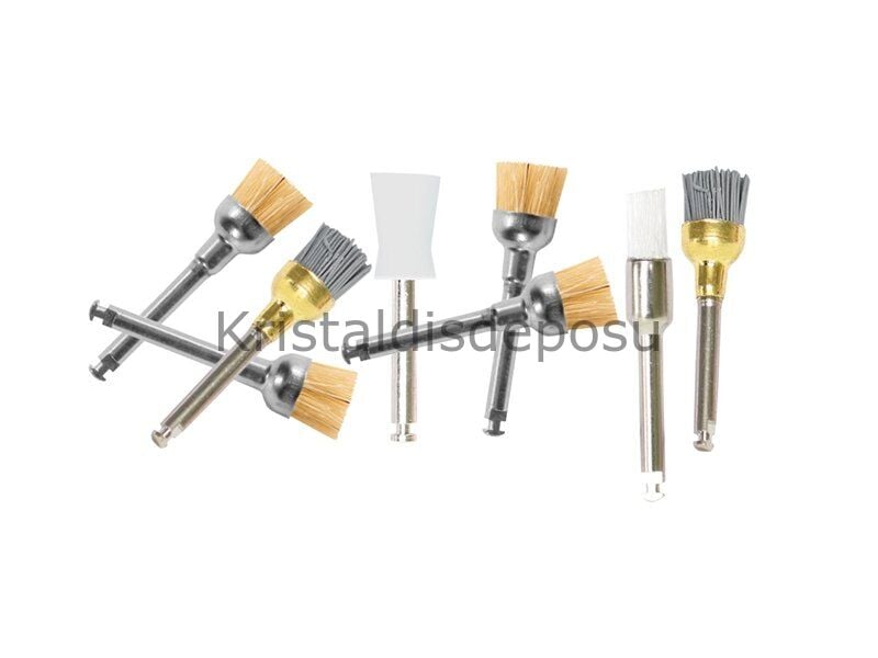 Imicryl Fırça Detertraj Prophy Özel Gerçek Kıl Rolene Bristle Brush Tekli
