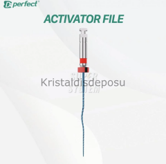 Perfect SUPER SYSTEM Activator PRO sorti blister eğe