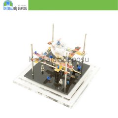Cam Fanus Molar Diş İmplant Üst Model