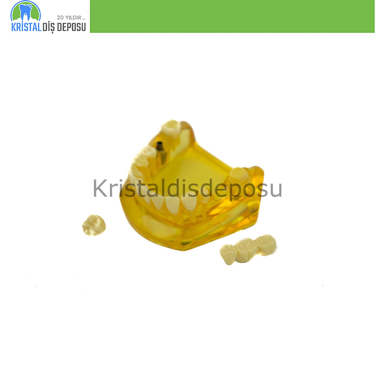 Cerrahi 2010 Model Implant & Köprü