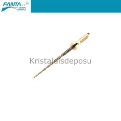AF R3 Gold File Reciproc Kanal Egesi RA20