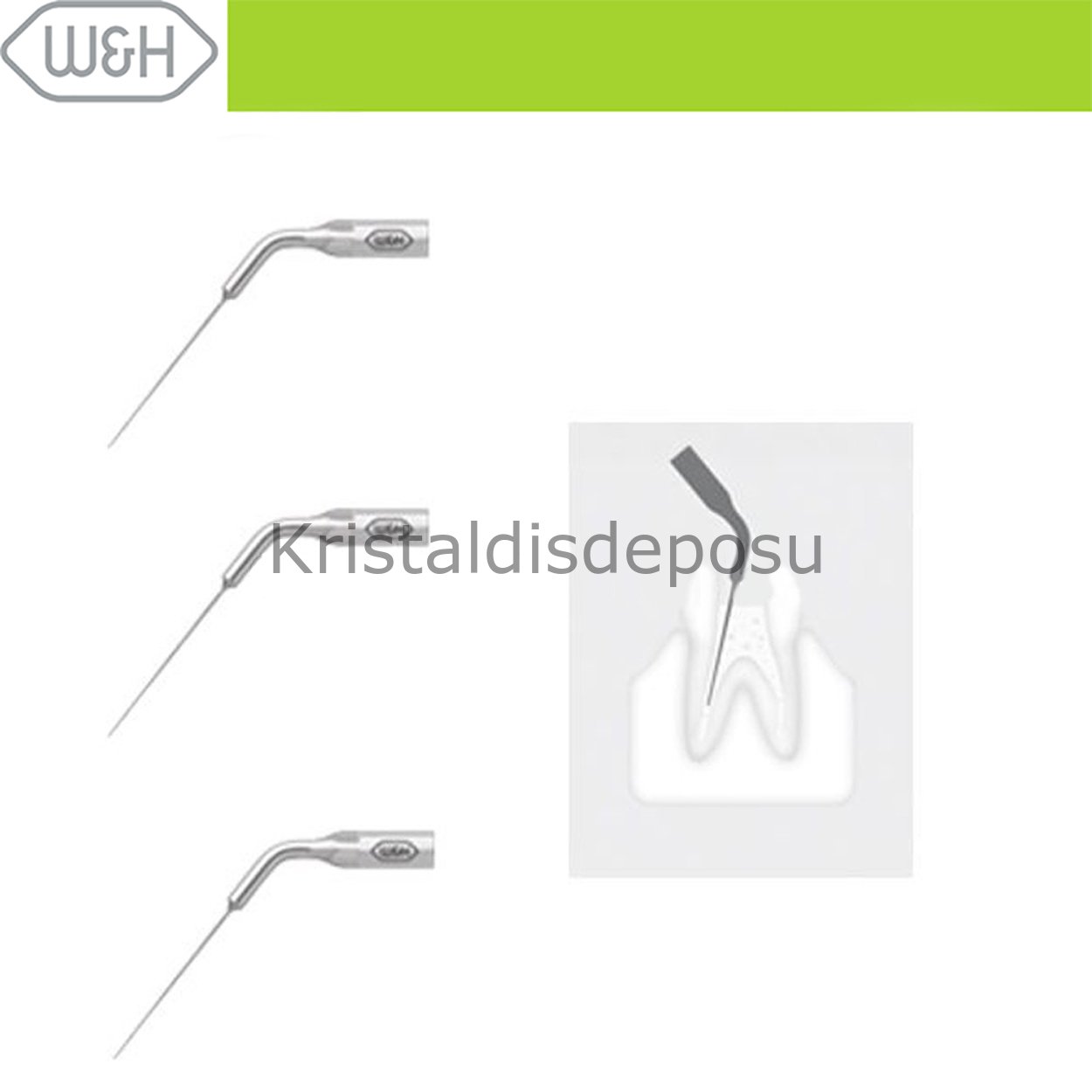 Kavitron-Scaler Uçları- Endo Uç Set