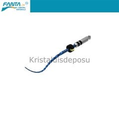 AF R3 Blue File Reciproc Kanal Egesi